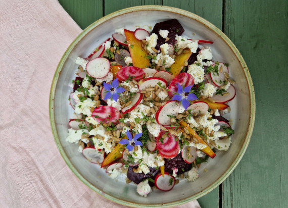 Salade van bietjes, quinoa, radijs, geitenkaas en geroosterde zaadjes
